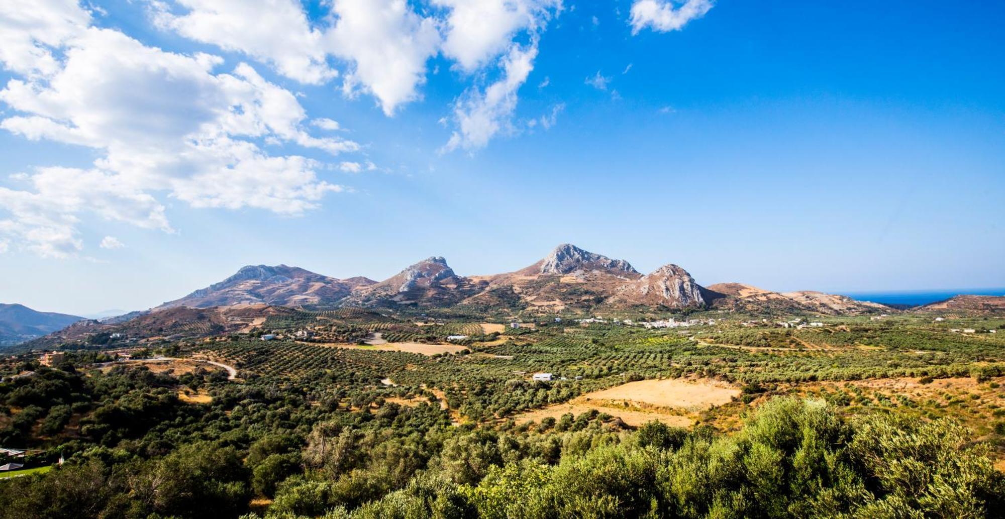 Villa Erofili Plakias South Rethimno Crete Asomatoi Eksteriør billede